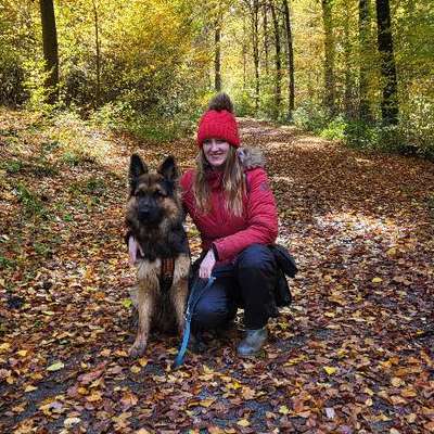 Hundetreffen-Kontrollierter Freilauf-Bild