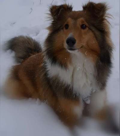 Der erste Schnee, zeigt uns eure tollen Schneemomente-Beitrag-Bild