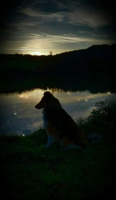 Photoshop und Co.-Beitrag-Bild