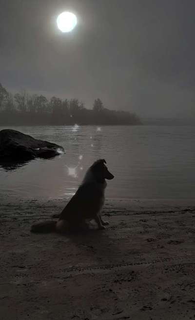 Photoshop und Co.-Beitrag-Bild