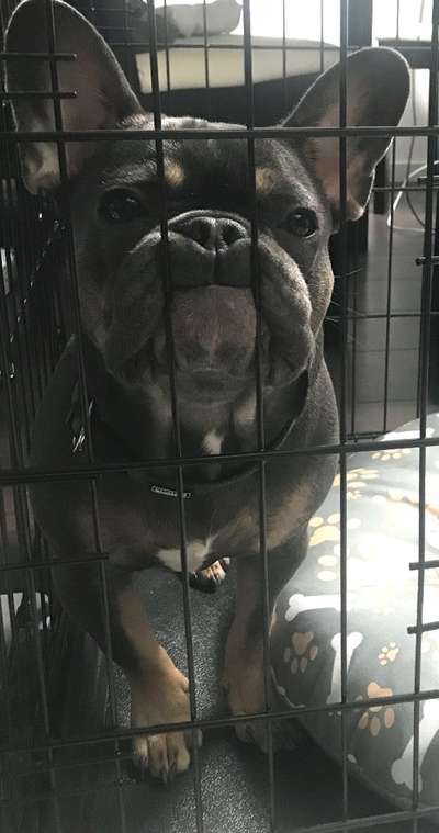 Hier ist der Spaßthread. Zum Schmunzeln und Kaputtlachen-Beitrag-Bild