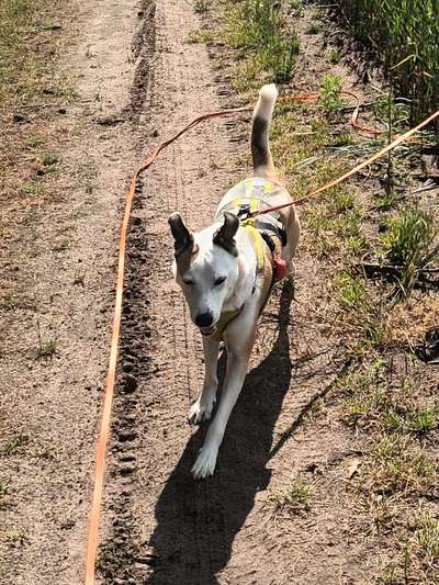 Fotochallange 84-Beitrag-Bild