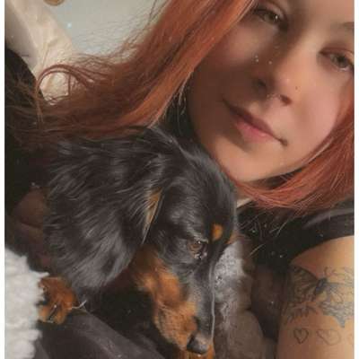 Hundetreffen-Hundefreunde/gemeinsames Gassi-Profilbild