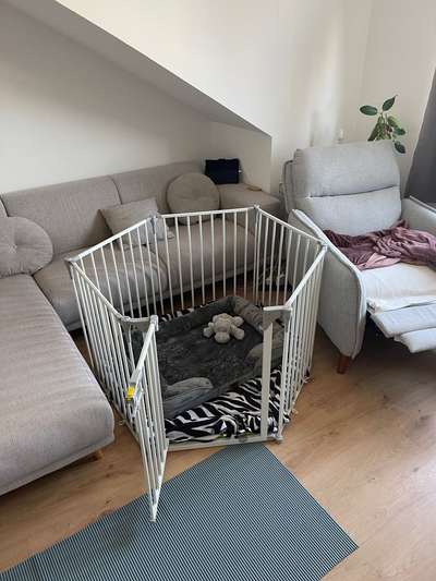 Bandriss, Bandscheibe, oder..?-Beitrag-Bild