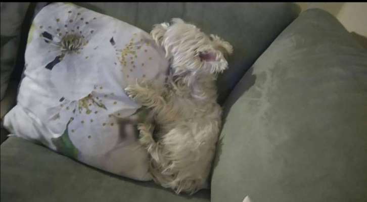 Die unbequemsten und lustigsten Schlafpositionen-Beitrag-Bild