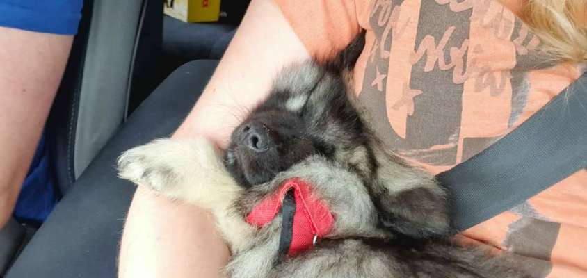 Fotochallange Nr. 6 Die irrsten Blicke-Beitrag-Bild