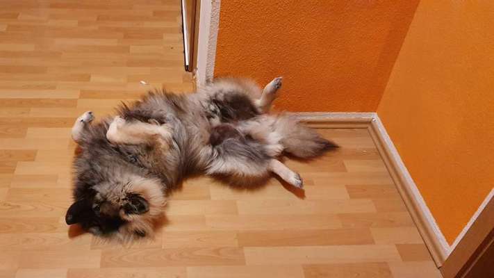 CHALLENGE NR. 34 - Liege-/Schlafpositionen-Beitrag-Bild