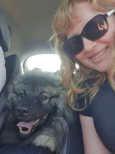 Die Dogorama Wochen Challenge-Beitrag-Bild