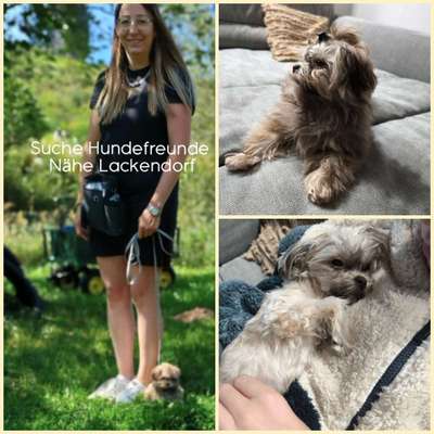 Hundetreffen-Welpentreffen/Junghundetreffen/Hundefreunde/Gassirunde-Bild