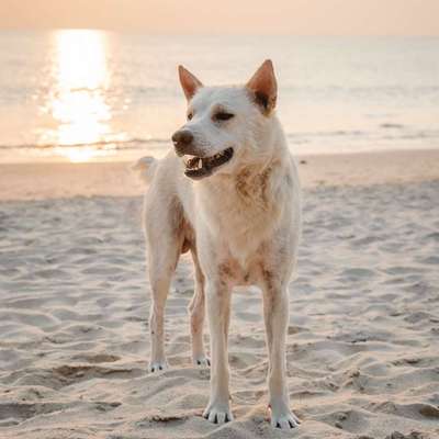 Tierfotografen-One Life Photography by J.R.-Bild