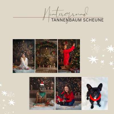 %{de_profession_title}-Hunde Weihnachtsshooting Familie-Bild