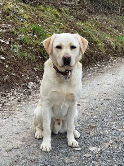 Fotochallange Nr. 57     PORTRÄT.   Beendet!!!!!!!!-Beitrag-Bild