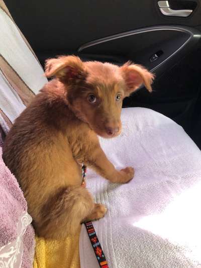 Sie werden so schnell erwachsen ...-Beitrag-Bild