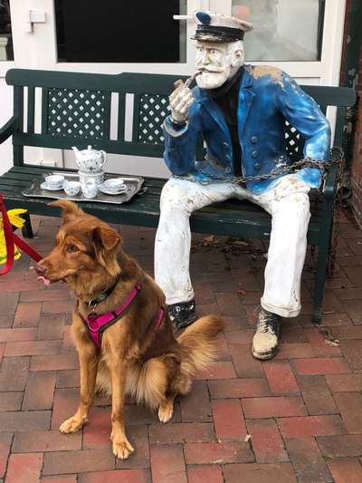 Die Dogorama Wochen Challenge: “Dein Hund im Urlaub”-Beitrag-Bild