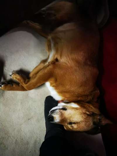 Die unbequemsten und lustigsten Schlafpositionen-Beitrag-Bild