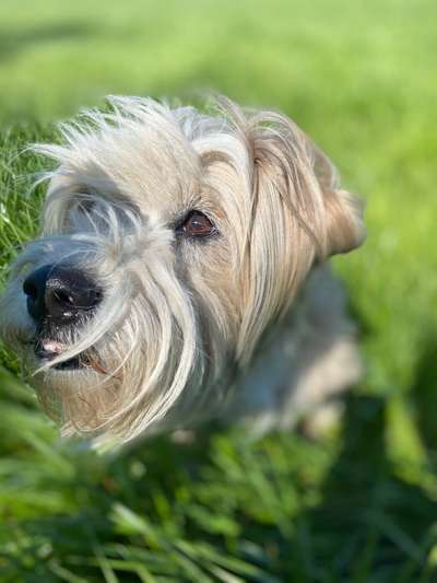 Fotochallange Nr. 57     PORTRÄT.   Beendet!!!!!!!!-Beitrag-Bild