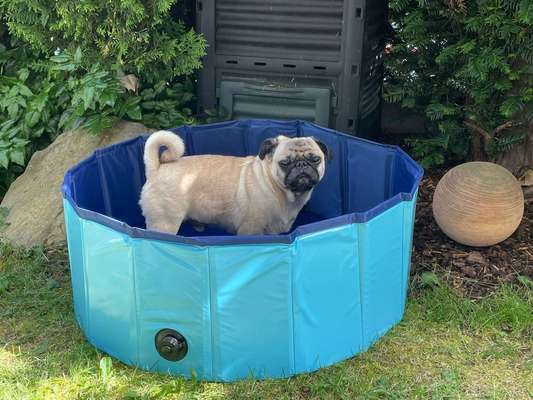 22. Handy Foto - Challenge-Beitrag-Bild