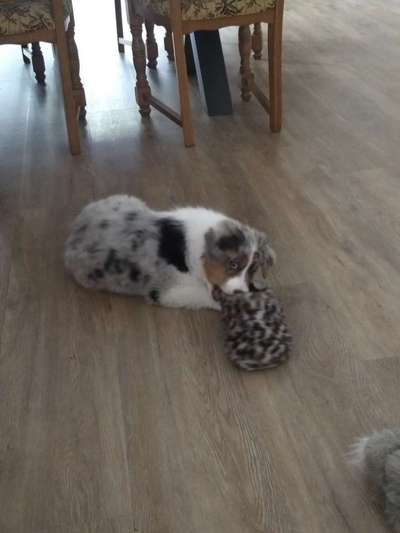 Fotochallenge Nr. 29 - Accessoires-Beitrag-Bild