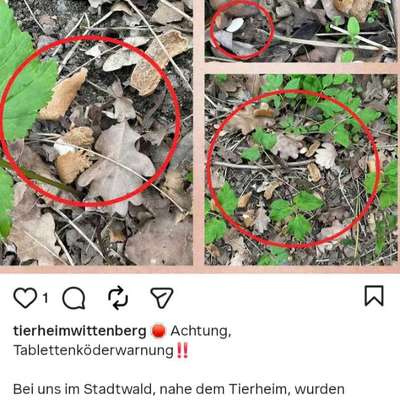 Giftköder-Tablettenköderwarnung-Bild