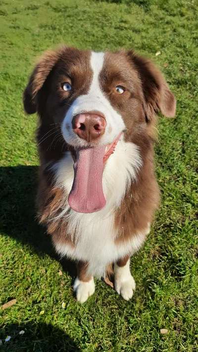 Handyfoto challenge Nr. 13: Waschlappen raus!-Beitrag-Bild