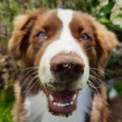 Fotochallange Nr. 57     PORTRÄT.   Beendet!!!!!!!!-Beitrag-Bild