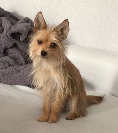 Moviestar-Pics!-Beitrag-Bild