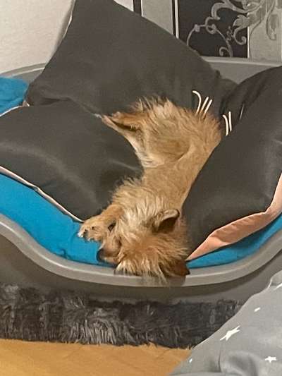 Fotochallange 84-Beitrag-Bild