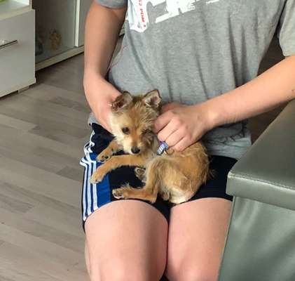 Erstes Bild-Beitrag-Bild