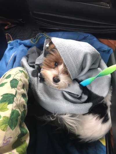 Moviestar-Pics!-Beitrag-Bild