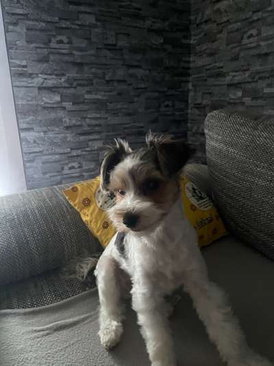 Ratespaß geht weiter-Beitrag-Bild