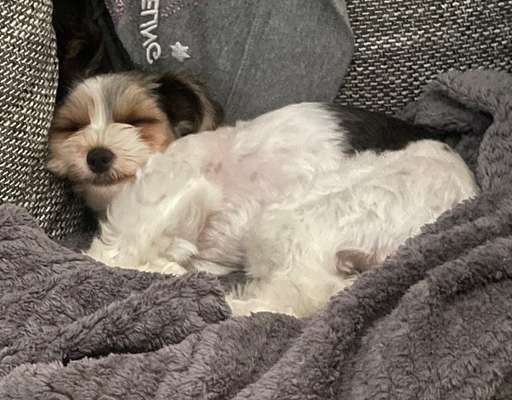 Fotochallange 84-Beitrag-Bild