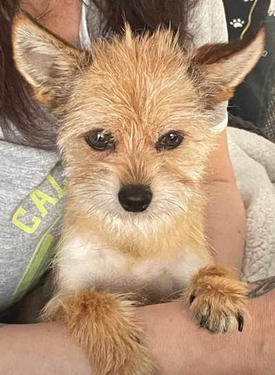 Moviestar-Pics!-Beitrag-Bild