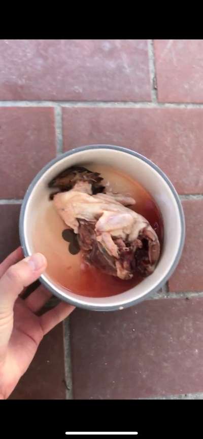 Zeigt her Eure Futternäpfe-Beitrag-Bild