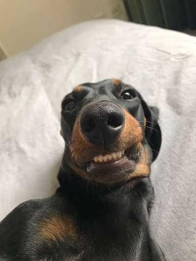 Zauberhaftes lächeln-Beitrag-Bild