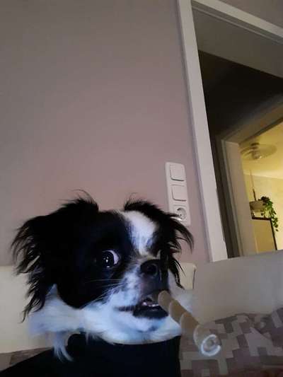 Her mit dem Grimassen-Beitrag-Bild