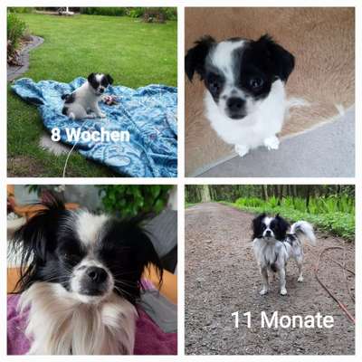 Sie werden so schnell groß!-Beitrag-Bild