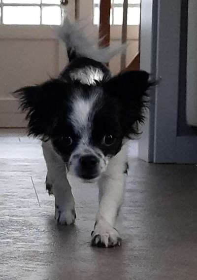 Lieblingsbild-Beitrag-Bild