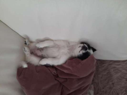 FOTO-Challenge  NR. 91: Die pure Entspannung-Beitrag-Bild