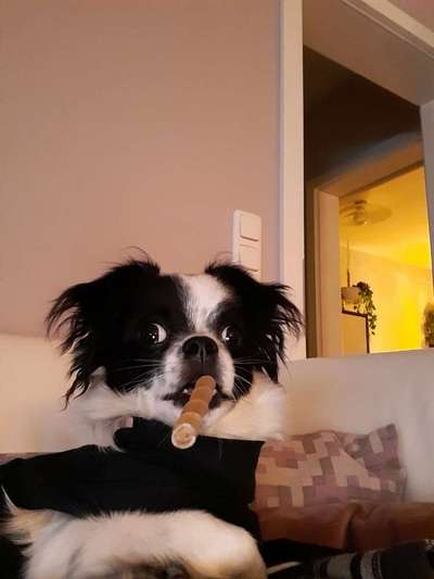 Fotochallenge Nr. 64-Beitrag-Bild