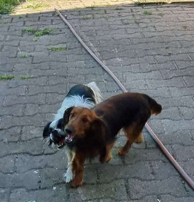 Foto Challenge Nr.: 115-Beitrag-Bild