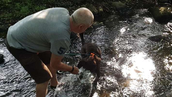 Die Dogorama Kalender Challenge 4/4-Beitrag-Bild