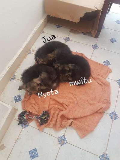 Fotochallenge 130-Beitrag-Bild