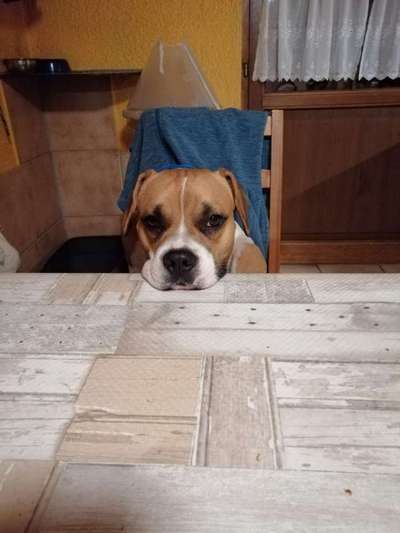 Fotochallange Nr. 57     PORTRÄT.   Beendet!!!!!!!!-Beitrag-Bild