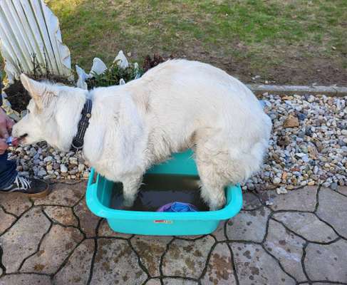 Freddys Kummerkasten-Beitrag-Bild