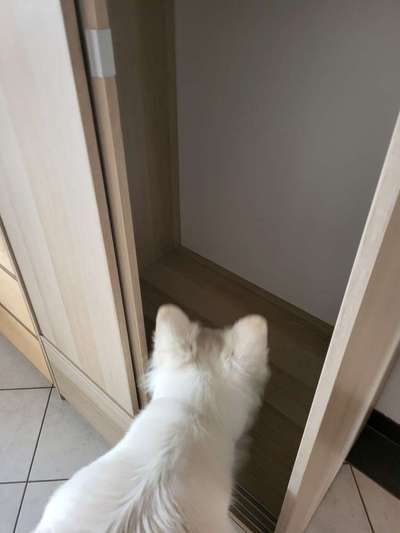 Freddys Kummerkasten-Beitrag-Bild