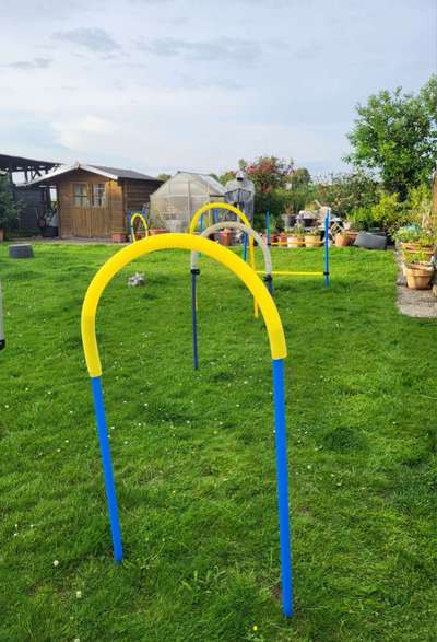 Freddys Kummerkasten-Beitrag-Bild