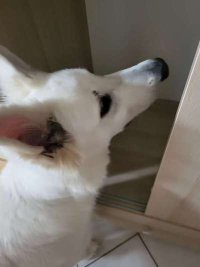 Freddys Kummerkasten-Beitrag-Bild