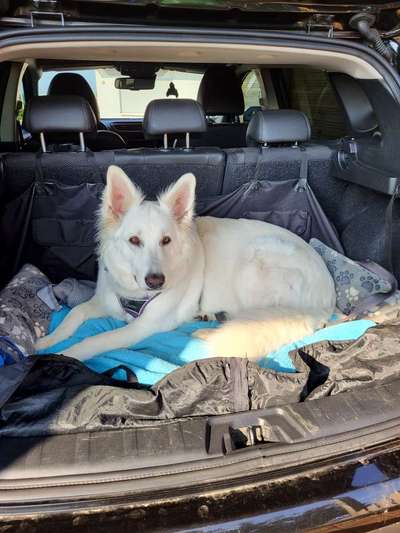 Freddys Kummerkasten-Beitrag-Bild