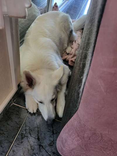 Freddys Kummerkasten-Beitrag-Bild