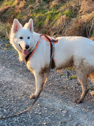 Freddys Kummerkasten-Beitrag-Bild